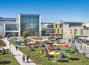 Özyeğin University SAT