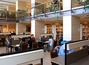 Gallery image 6