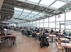 Gelişim University TRYÖS