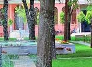 Bezmialem Vakıf Üniversitesi yabancı öğrenci