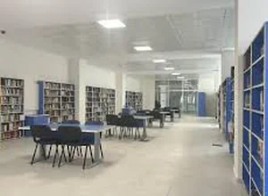 Yeni Yüzyıl University SAT