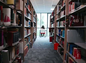 Haliç University foreign students