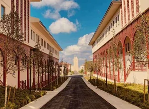 Ibn Haldun University foreign students