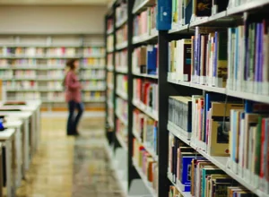 İstanbul 29 Mayıs Üniversitesi yabancı öğrenci