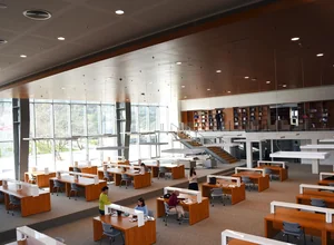 İstanbul Esenyurt Üniversitesi yabancı öğrenci