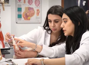 Yüksek İhtisas Üniversitesi TRYÖS