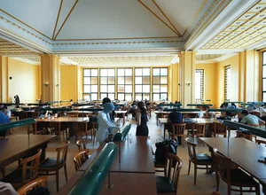 Istanbul University foreign students