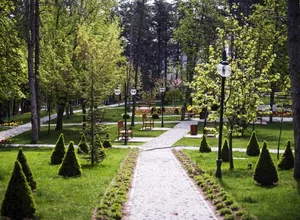 Anadolu University international student