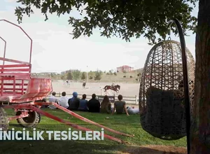 Selcuk University YOS