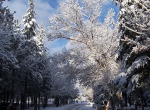Erciyes University international student