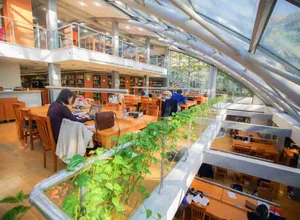 Galatasaray Üniversitesi yabancı öğrenci