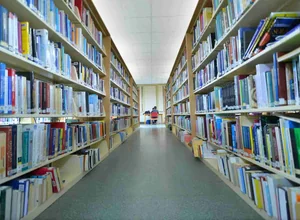 Sakarya University foreign students
