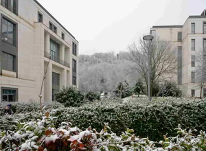 Türk-Alman Üniversitesi uluslararası öğrenci