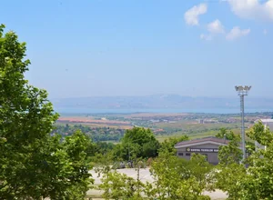 İstanbul Üniversitesi-Cerrahpaşa uluslararası öğrenci