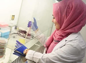 Hitit Üniversitesi SAT