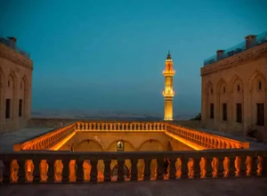 Mardin Artuklu Üniversitesi ALES