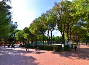 Manisa Celal Bayar Üniversitesi Tezli-Tezsiz Yüksek Lisans