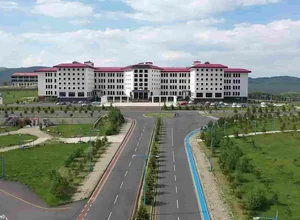 Ardahan University Master's Program Application