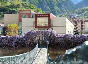 Artvin Çoruh Üniversitesi Doktora