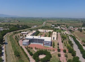 Aydın Adnan Menderes Üniversitesi Yüksek Lisans Başvuru