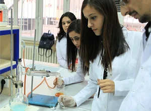 Batman Üniversitesi Lisansüstü