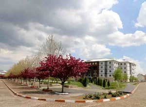 Bingöl Üniversitesi Yüksek Lisans