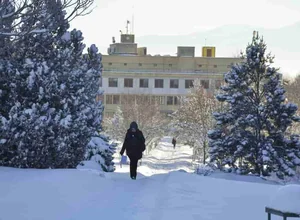 Bolu Abant İzzet Baysal Üniversitesi Doktora