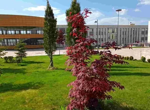 Çankırı Karatekin Üniversitesi Tezli-Tezsiz Yüksek Lisans
