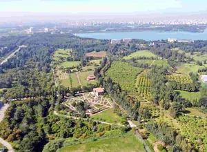 Çukurova Üniversitesi Yüksek Lisans