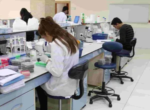 Çukurova Üniversitesi Tezli-Tezsiz Yüksek Lisans