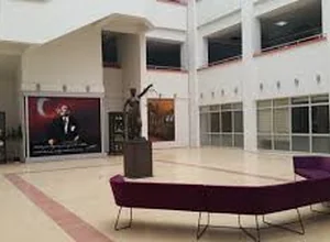 Dokuz Eylül Üniversitesi Lisansüstü