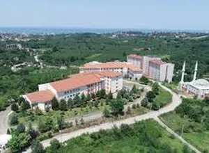 Düzce University ALES