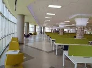 Gaziantep İslam Bilim ve Teknoloji Üniversitesi Doktora