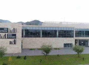 Ordu University Graduate