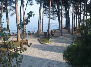 Ordu University Master's Programs (with and without thesis)