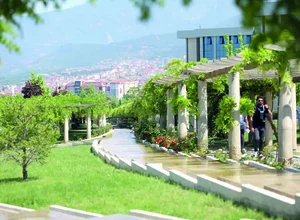 Pamukkale University PhD