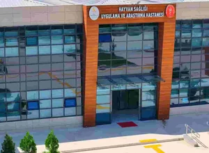 Siirt Üniversitesi Doktora
