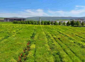 Siirt Üniversitesi ALES