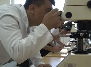 Tarsus University PhD