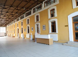 Trabzon Üniversitesi Doktora