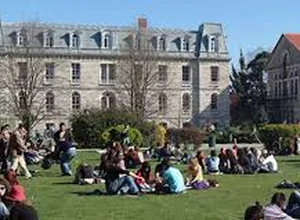 Mediterranean Karpaz University Postgraduate