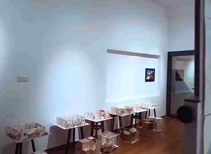 Rauf Denktaş University Master's Degree
