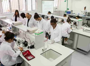 Doğu Akdeniz Üniversitesi Doktora